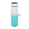 LED Gradient Thermo Flask